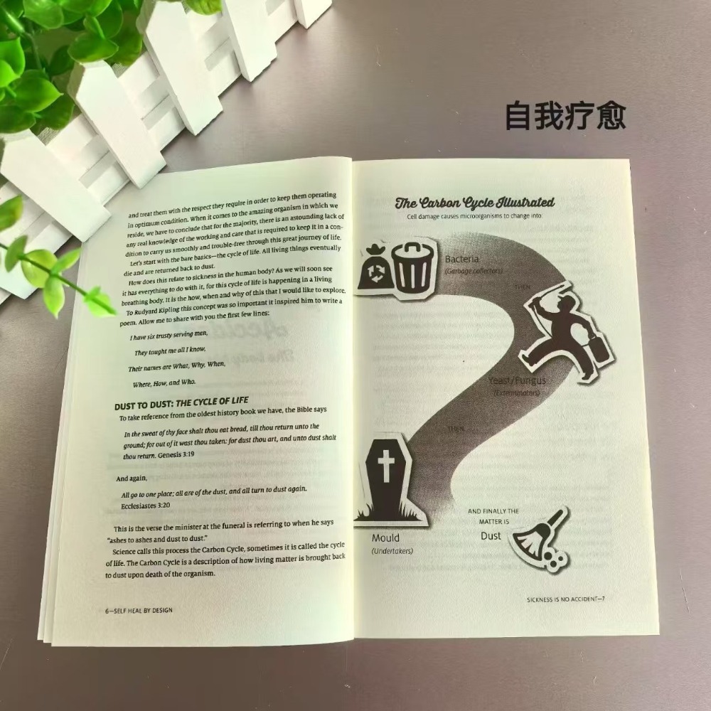 Self Heal By Design English Pa - Holistic Health & Wellness 评论和价格