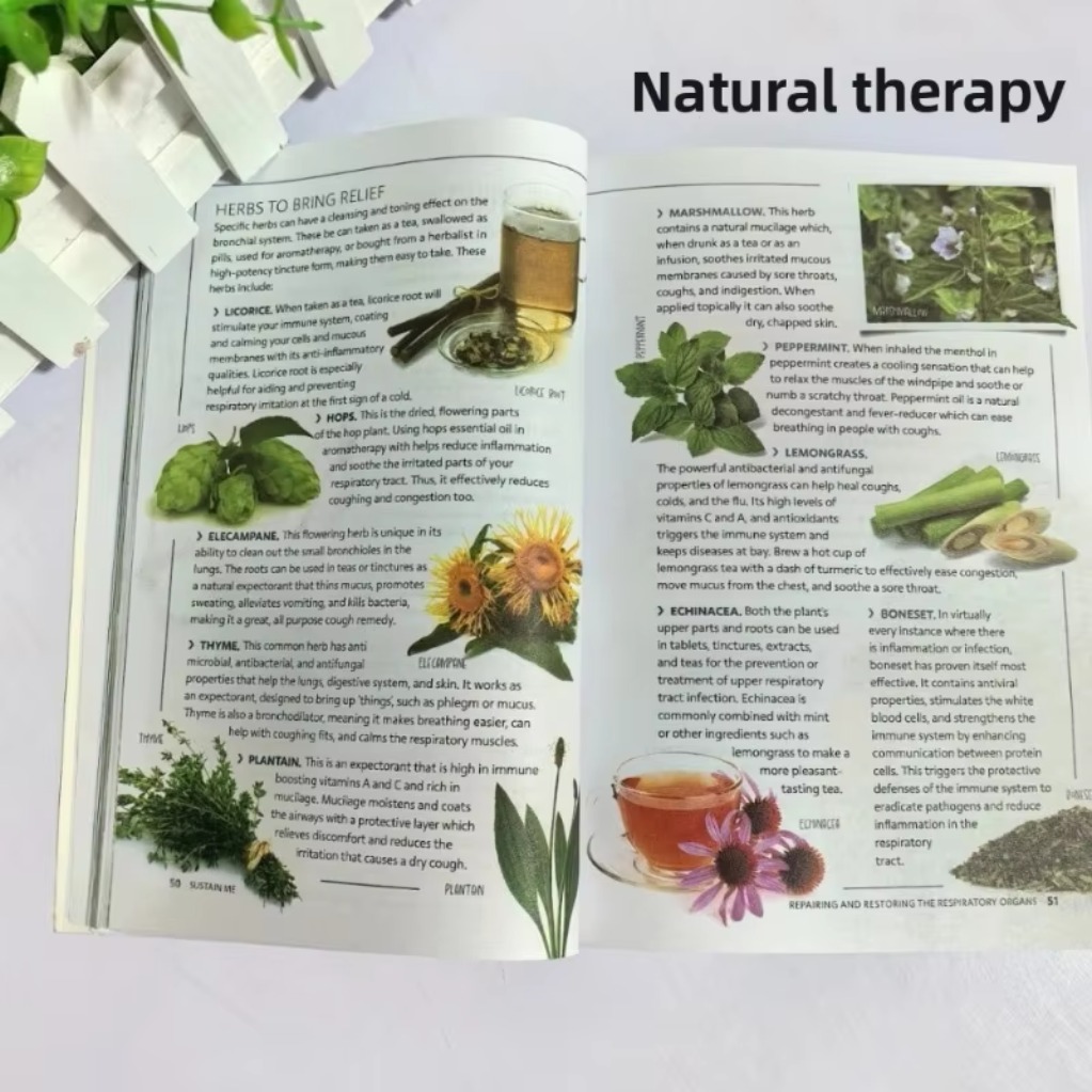 Sustain Me Barbara O'Neill A H - Holistic Health & Wellness 评论和价格