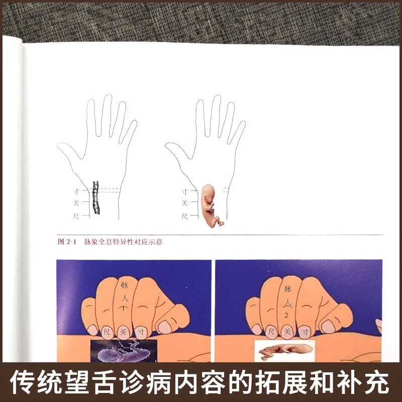 Tongue Diagnosis Holistic Theo - Holistic Health & Wellness 评论和价格