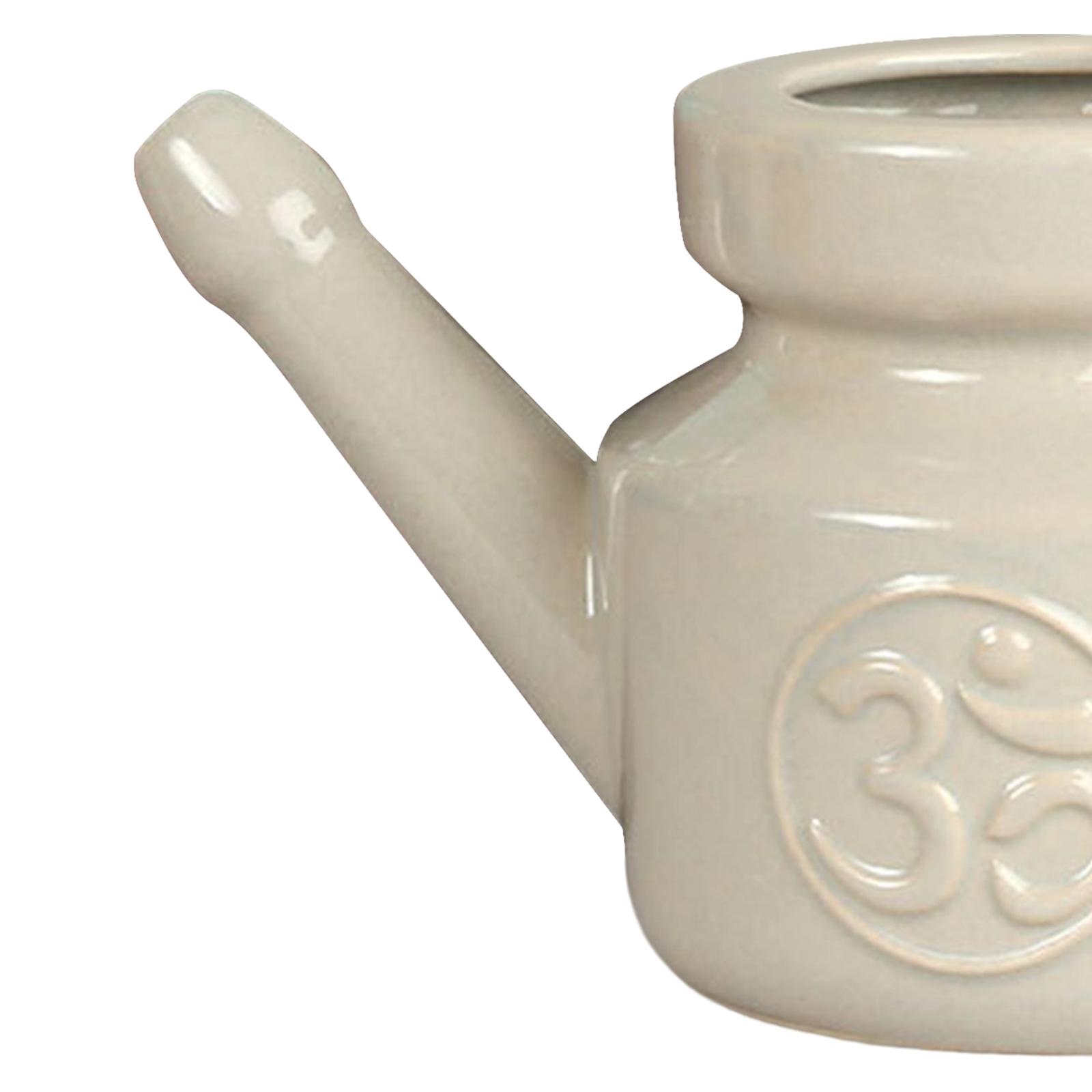 350ml Spout Pot Nasal Cleansin - Neti Pot Nasal Rinse 评论和价格