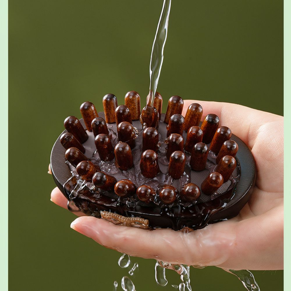 Manual Meridian Massage Brush  - Holistic Health & Wellness 评论和价格