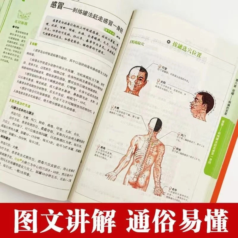 Holistic Health & Wellness Ser - Holistic Health & Wellness 评论和价格