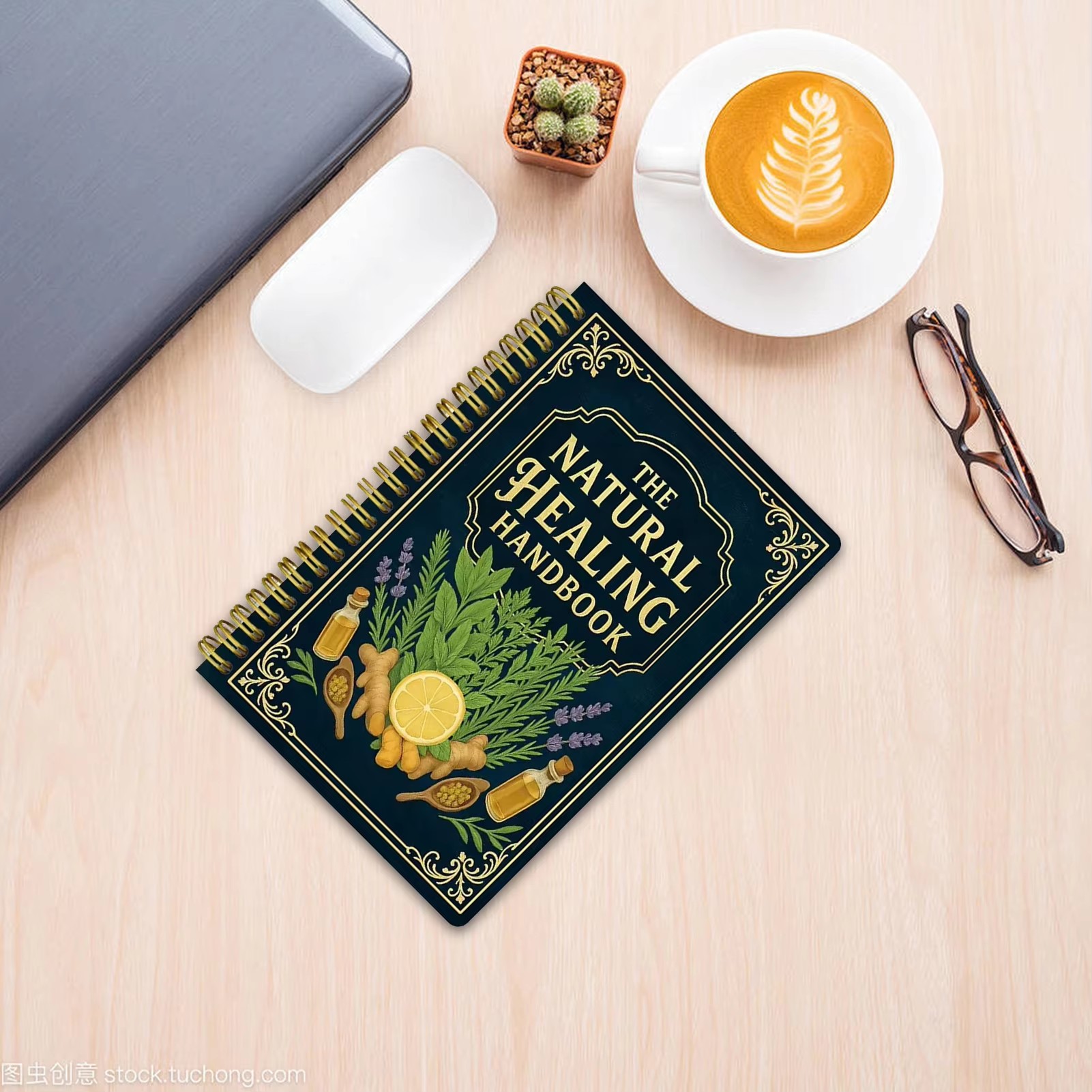 Natural Healing Handbook By Lu - Holistic Health & Wellness 评论和价格